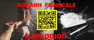 a pvp Гусев